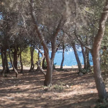 Villa El Far De La Galera